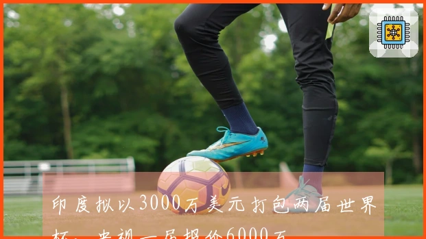 印度拟以3000万美元打包两届世界杯，央视一届报价6000万